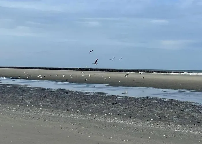 Apartment Mobilhome 4 Etoiles Proche